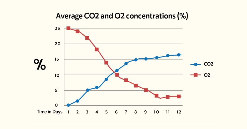 Graphical representation of how external conditions can affect the grain quality.