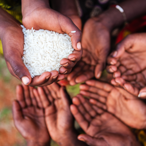 People holding grains in hand